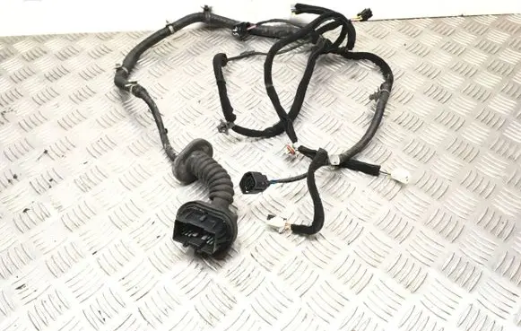 Hyundai Santa Fe Front door wiring loom/harness boot 9197126000