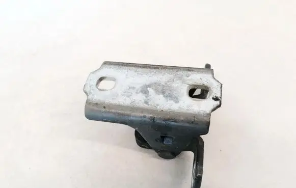 Opel Insignia A Rear door lower hinge ES03A046574