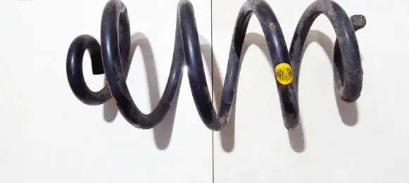 Nissan X-Trail T31 Rear coil spring