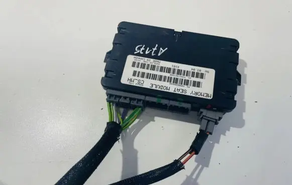Chrysler Pacifica Other control units/modules p05082046aa tcn4176c7208