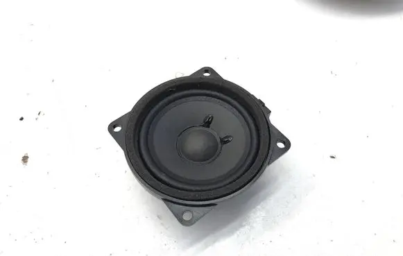 Front door speaker