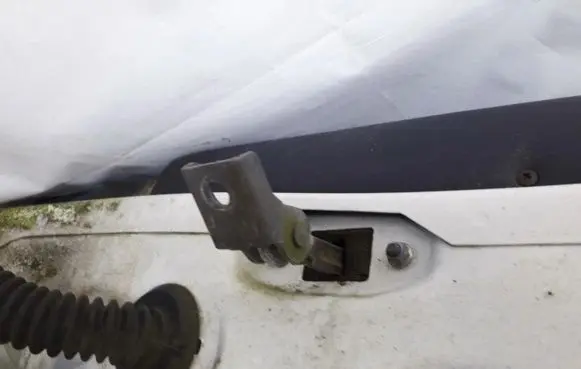Rear door check strap stopper