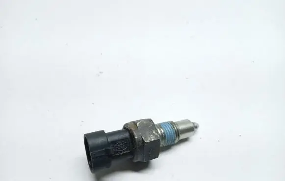 Fiat 500 Sensor