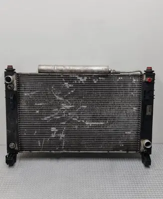 Mercedes-Benz B W245 Coolant radiator A1695000504 C8141000