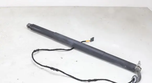 Tailgate/trunk strut/damper