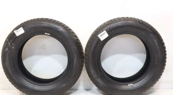 Renault Clio II R15 winter tire 8808563524467