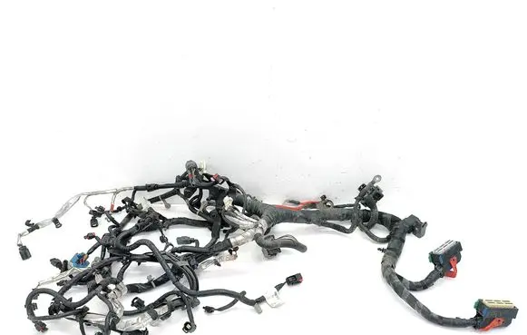 Dodge Grand Caravan Engine installation wiring loom Z20454156 867AH
