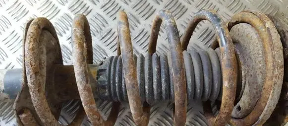 Peugeot 405 Front coil spring