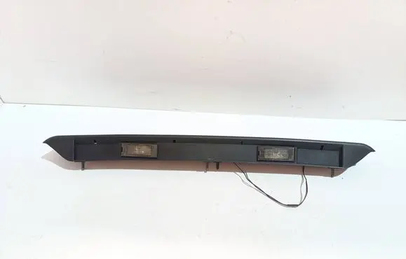Trunk door license plate light bar