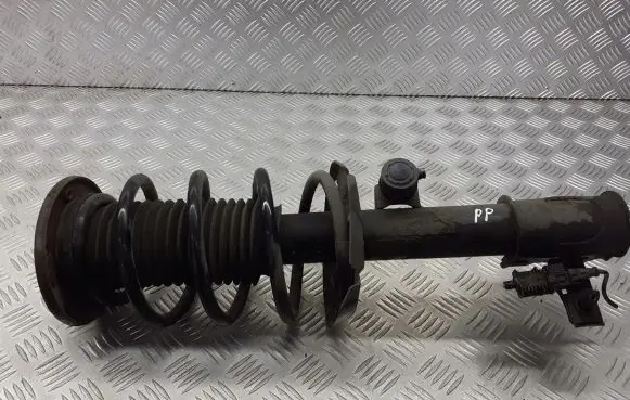 Opel Signum Front shock absorber with coil spring 13254162