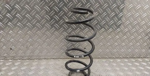 Rear coil spring