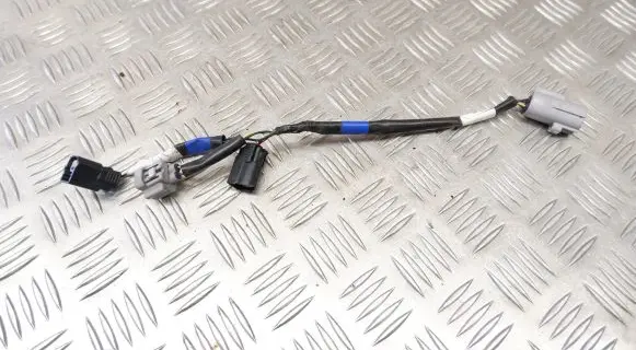 Toyota Highlander XU70 Other wiring loom 220088A04S