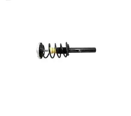 BMW X3 F25 Front shock absorber with coil spring 6796409