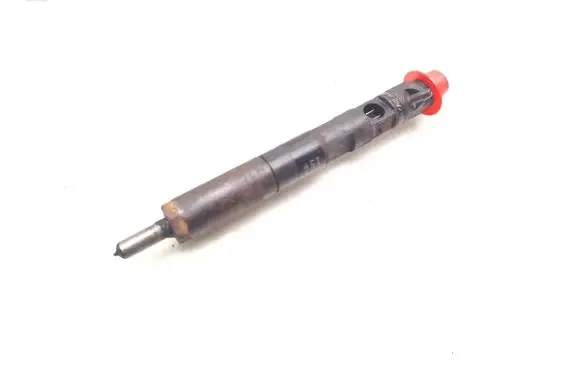 Dacia Sandero Fuel injector EJBR05101D 8200676774
