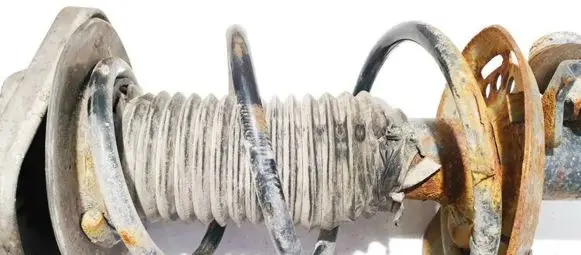 Front coil spring