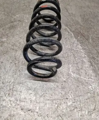 Rear coil spring