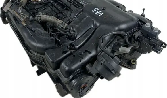 Hyundai Palisade Intake manifold 292003L210