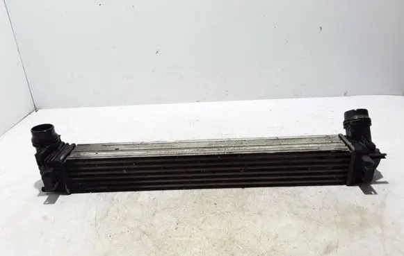 Renault Megane III Intercooler radiator 144963639R