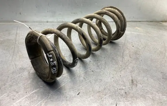 Opel Antara Rear coil spring