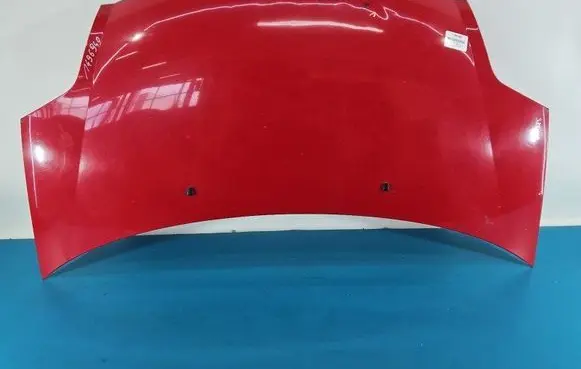 Engine bonnet/hood