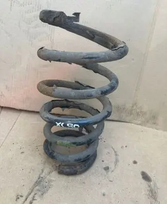 Rear coil spring
