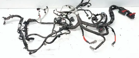 Engine installation wiring loom