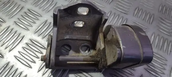 Renault Megane II Rear door lower hinge