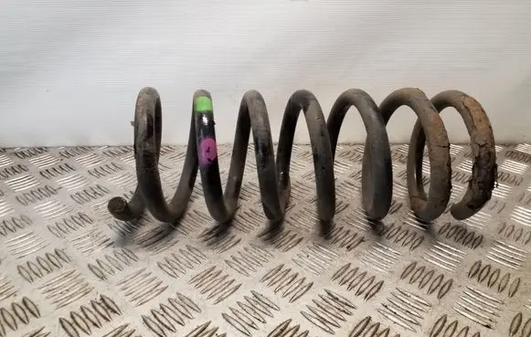 Rear coil spring