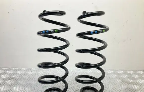 Rear coil spring