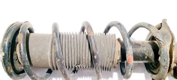 Front coil spring