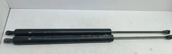 Tailgate/trunk strut/damper