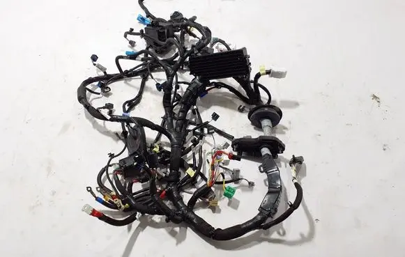 Renault Scenic E-Tech V Other wiring loom 403888333R