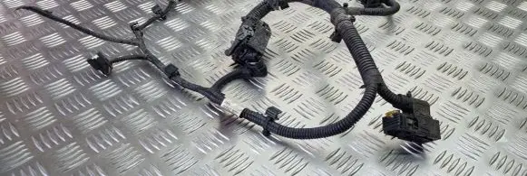 Ford Ecosport Gearbox/transmission wiring loom 2500607200 2507060020 11LHH