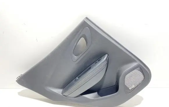 Renault Kadjar Rear door card panel trim 156088702