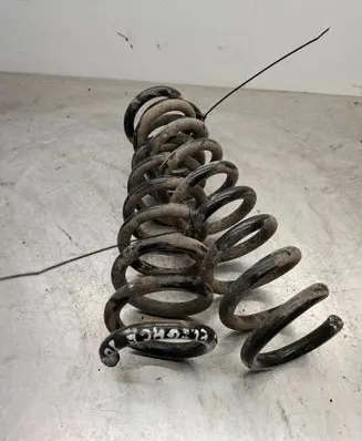 Rear coil spring
