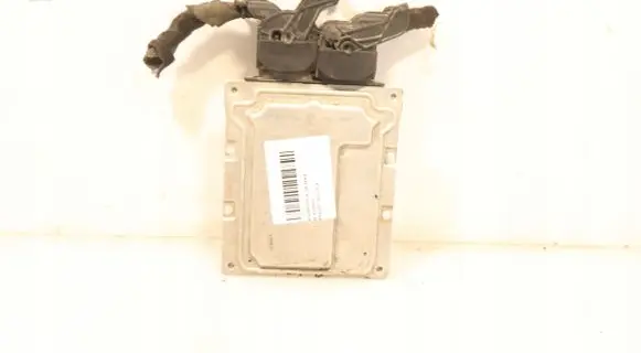 Fiat Punto (199) Engine control unit/module ECU 52013989