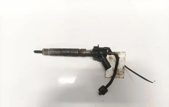 Mercedes-Benz R W251 Fuel injector 0445115