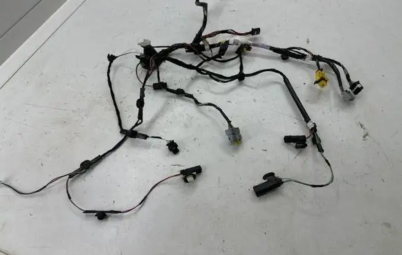 Rear door wiring loom