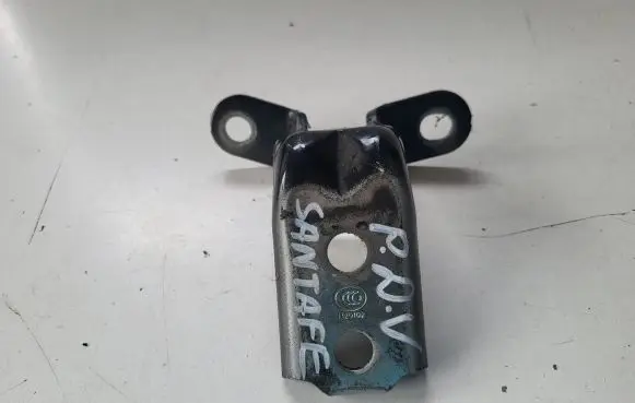 Hyundai Santa Fe Front door upper hinge
