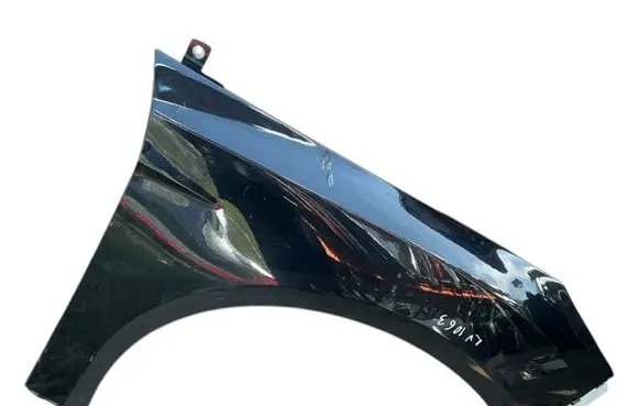 Ford Focus Fender