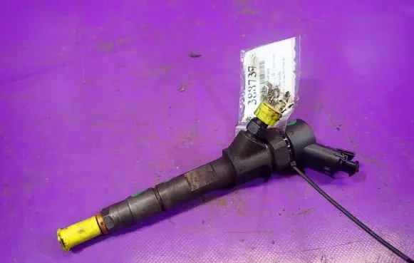 Renault Scenic II - Grand scenic II Fuel injector 