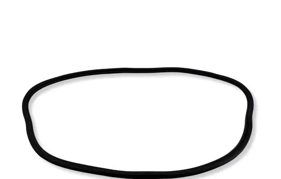 BMW 2 F22 F23 Trunk rubber seal (body) 7304538