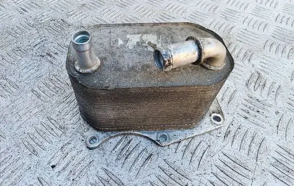 Nissan Navara D23 Engine oil radiator 
