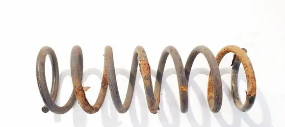 Rear coil spring