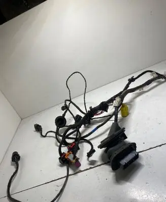 Seat Altea Front door wiring loom 5P1971121C 3421501