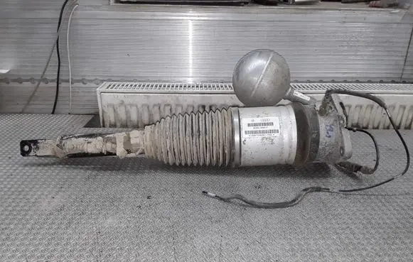 Volkswagen Phaeton Shock absorber/damper/air suspension 3D0616001F