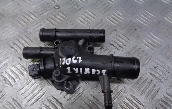 Thermostat/thermostat housing