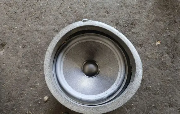 BMW X5 E53 Subwoofer speaker 61928910