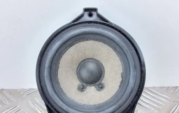 Panel speaker