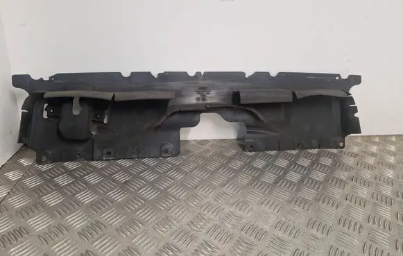 Engine bonnet/hood lock trim molding